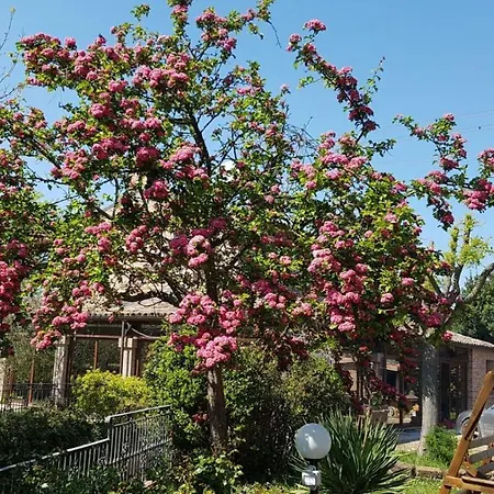 Bed & Breakfast Casato Olmeda *