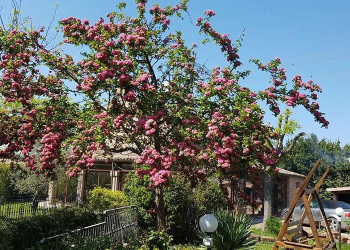 Bed & Breakfast Casato Olmeda *