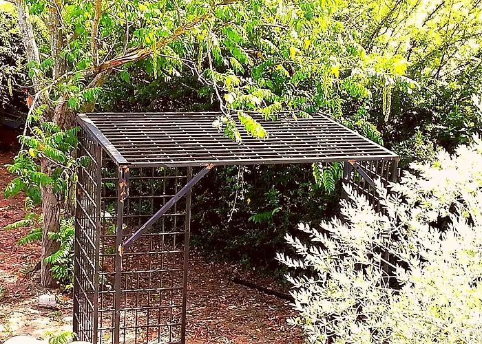 Casato Olmeda Bed & Breakfast Coriano